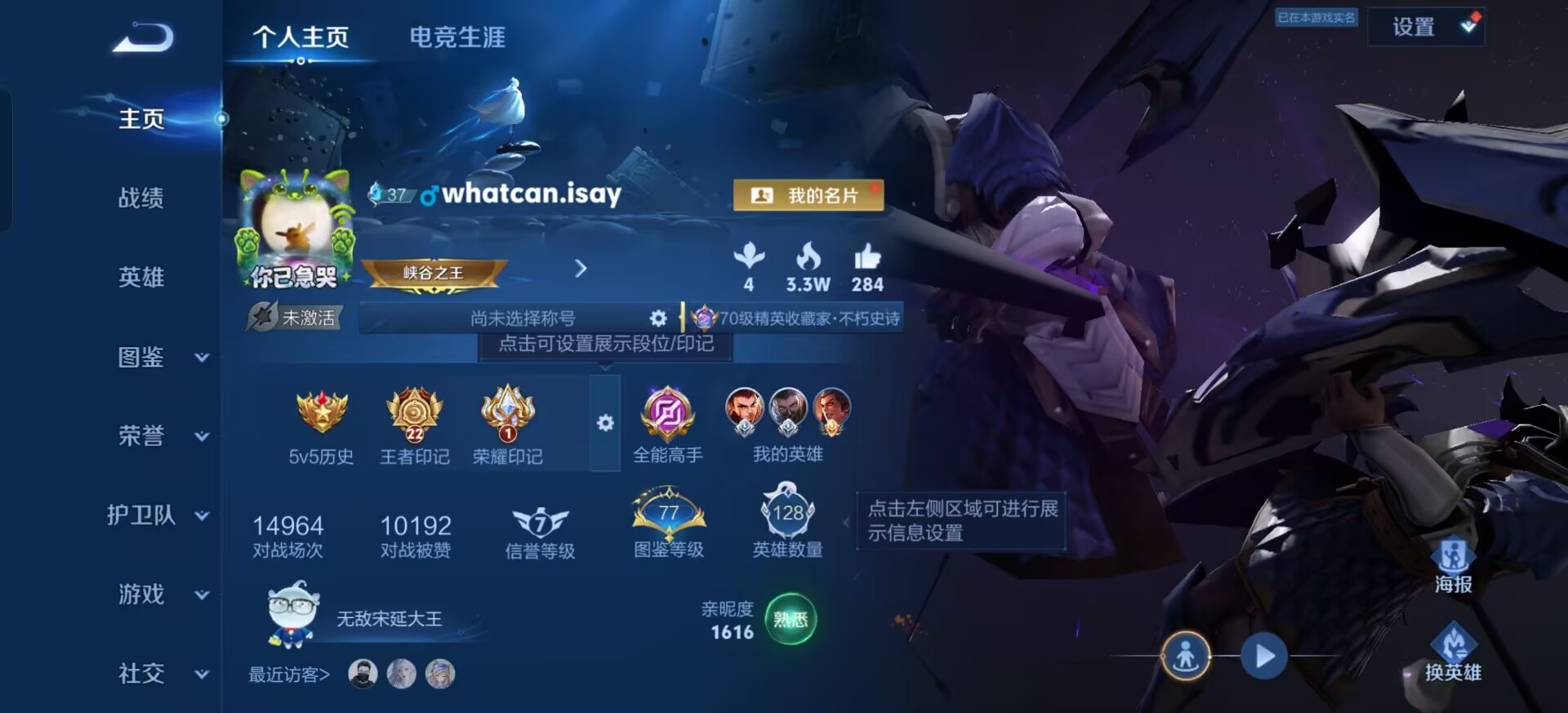WZQM4543329王者荣耀账号详情图13 WZQM4543329王者荣耀账号详情图13