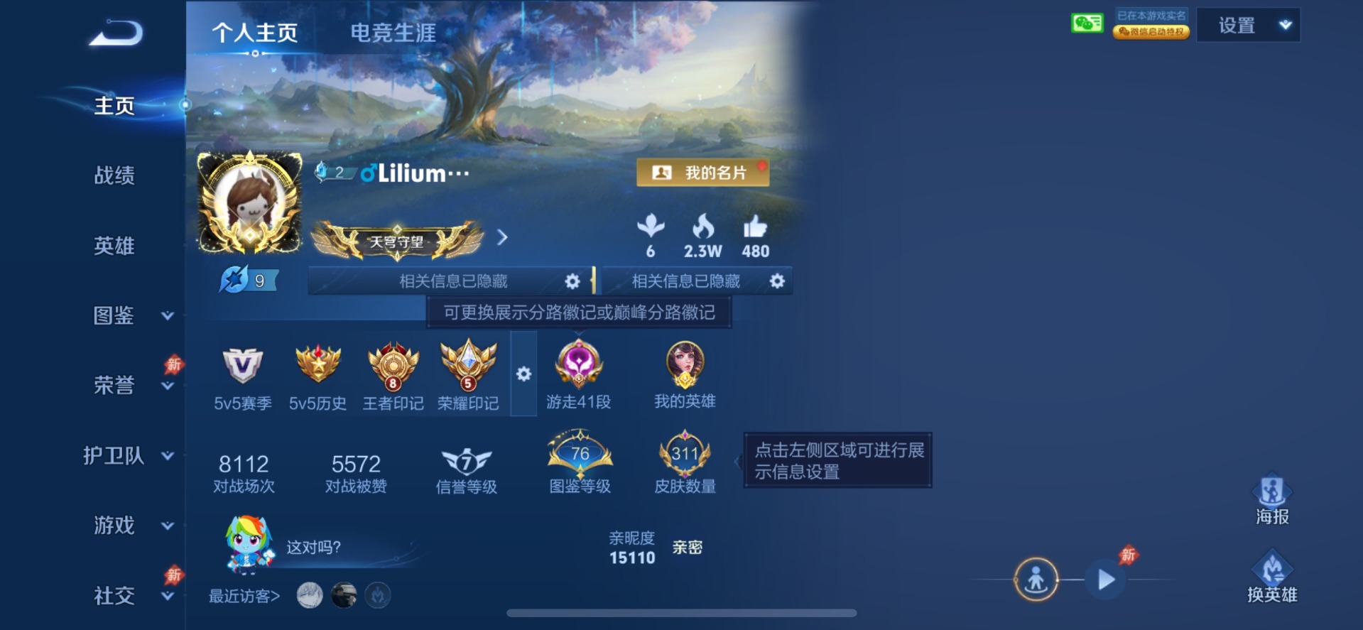 WZQM4554760王者荣耀账号详情图14 WZQM4554760王者荣耀账号详情图14