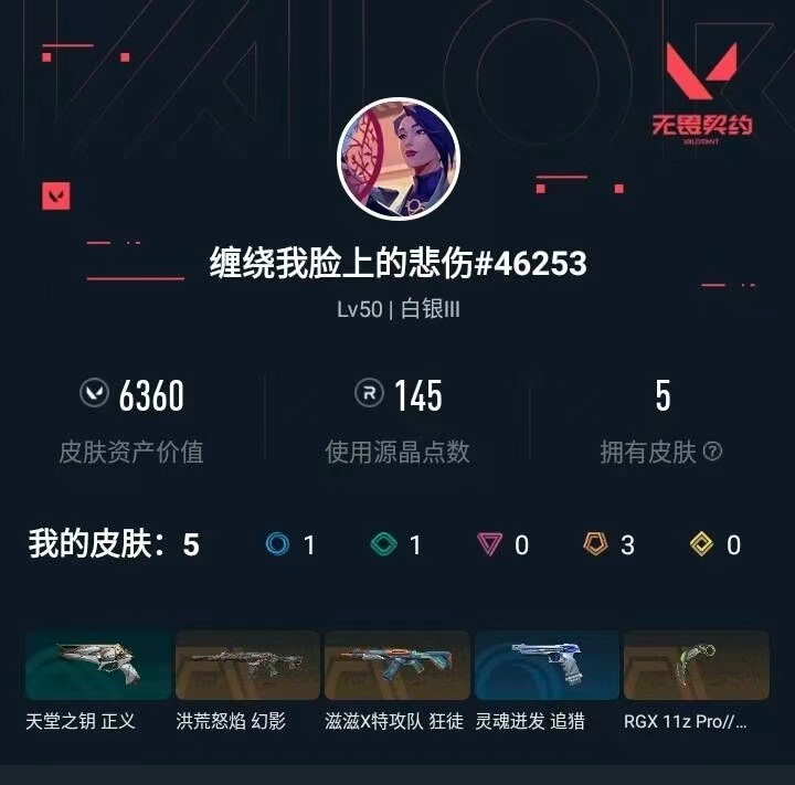 WWQQM493503无畏契约账号详情图6