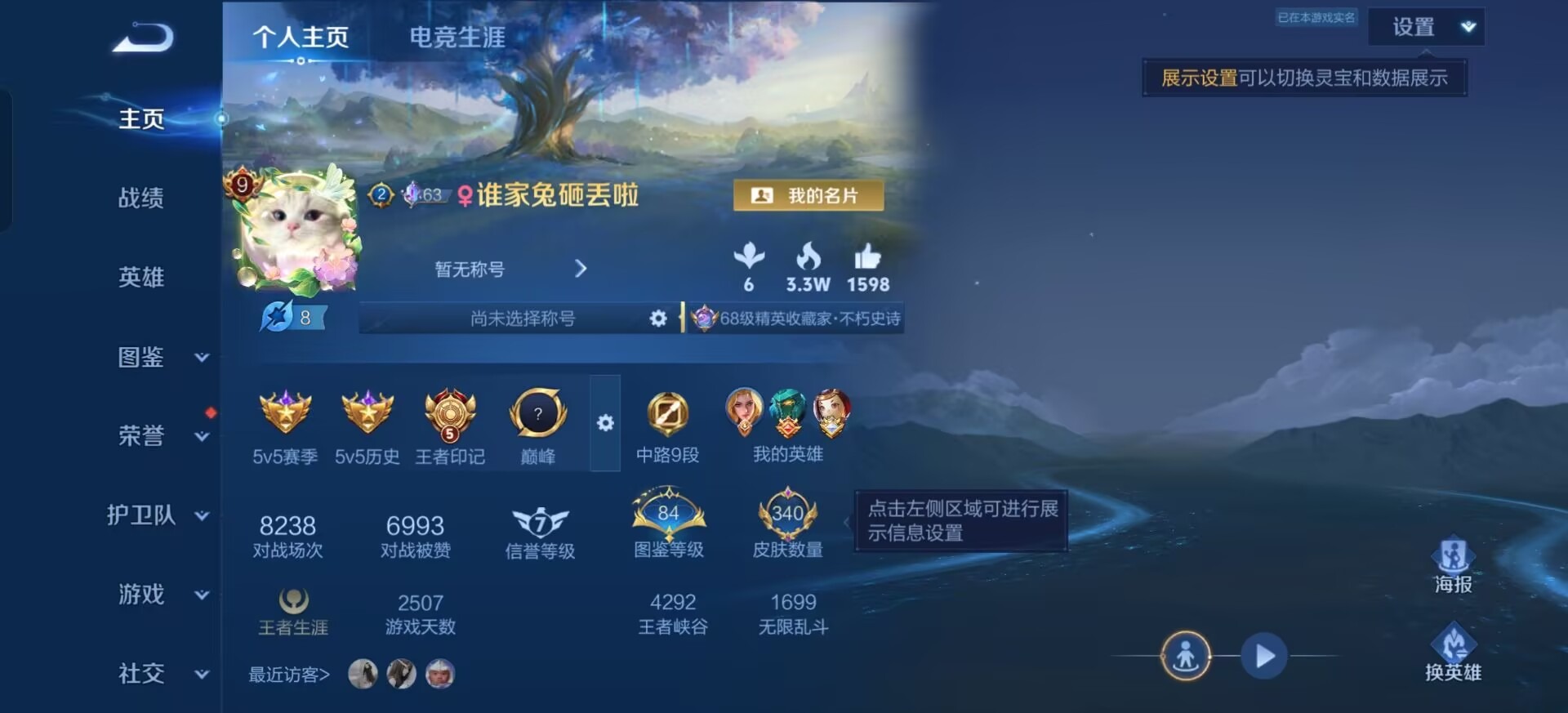 WZQM4597090王者荣耀账号详情图13 WZQM4597090王者荣耀账号详情图13