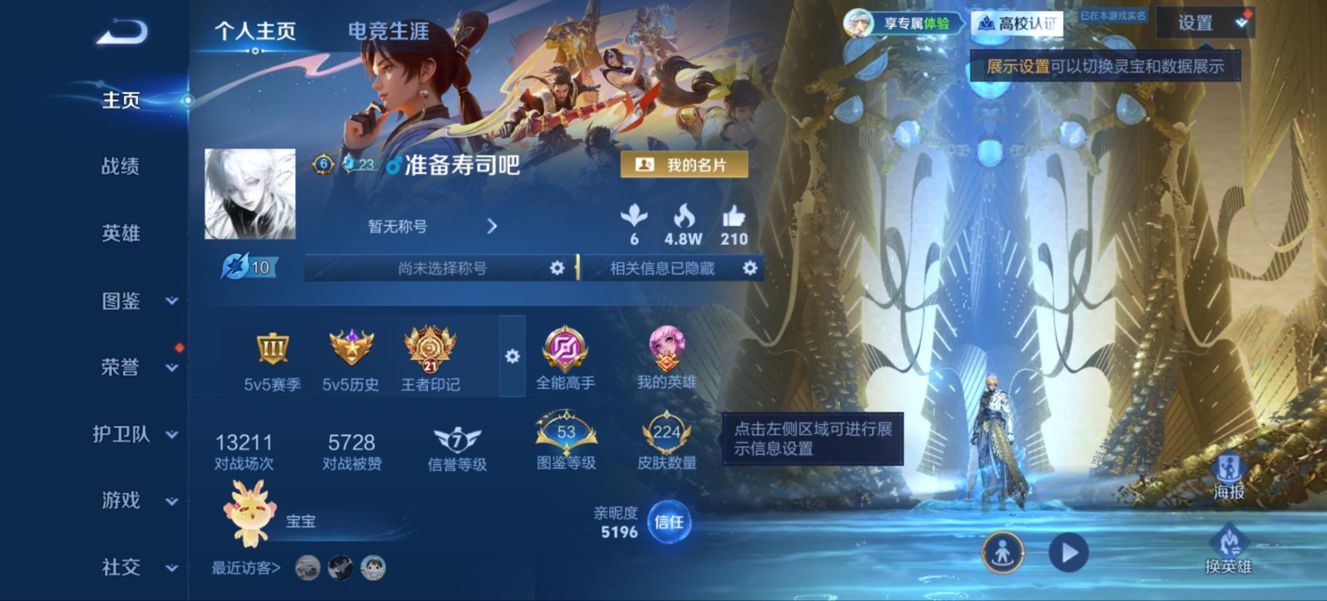 WZMMN4724541王者荣耀账号详情图6 WZMMN4724541王者荣耀账号详情图6