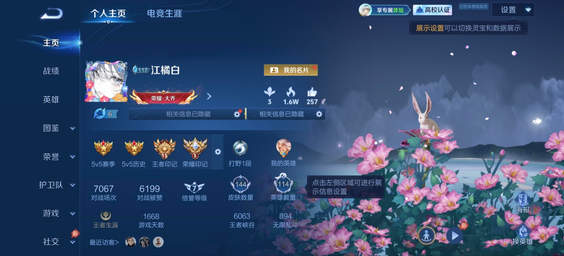 WZMMN4684157王者荣耀账号详情图15