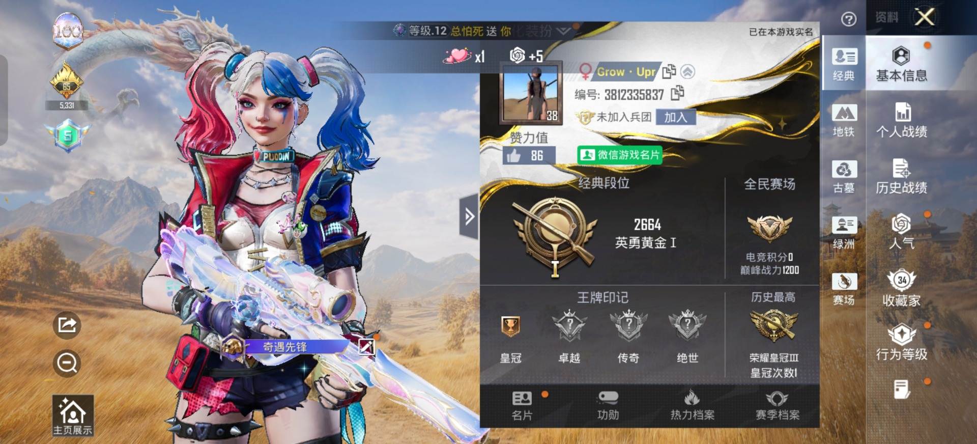 大图