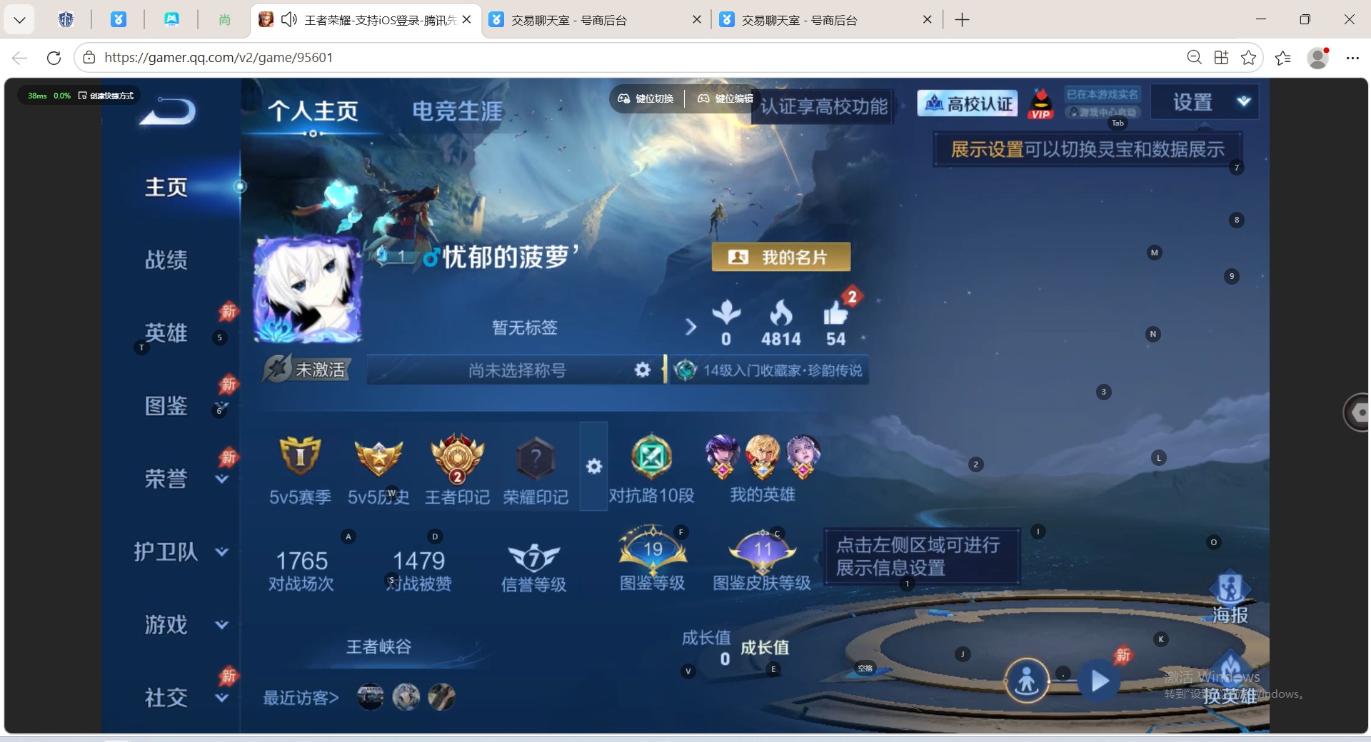 WZMMN4745367王者荣耀账号详情图11 WZMMN4745367王者荣耀账号详情图11