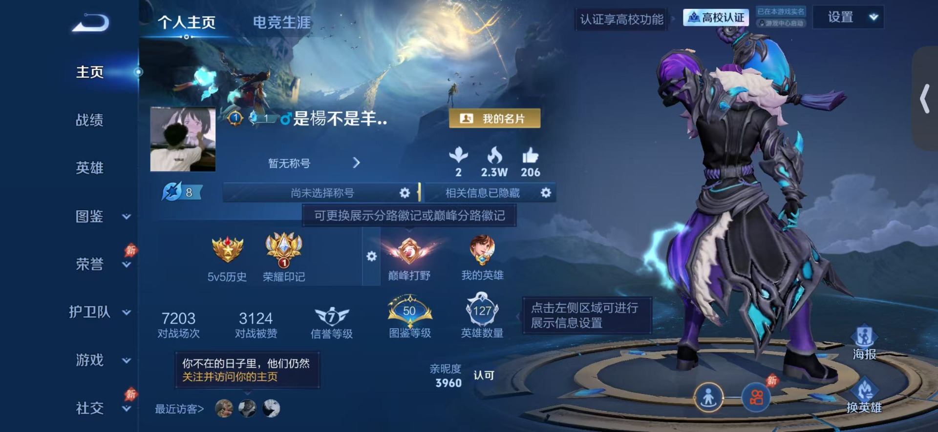 WZQM4717427王者荣耀账号详情图4