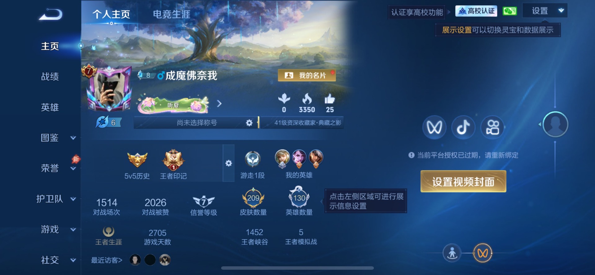 WZMMN4734061王者荣耀账号详情图7 WZMMN4734061王者荣耀账号详情图7