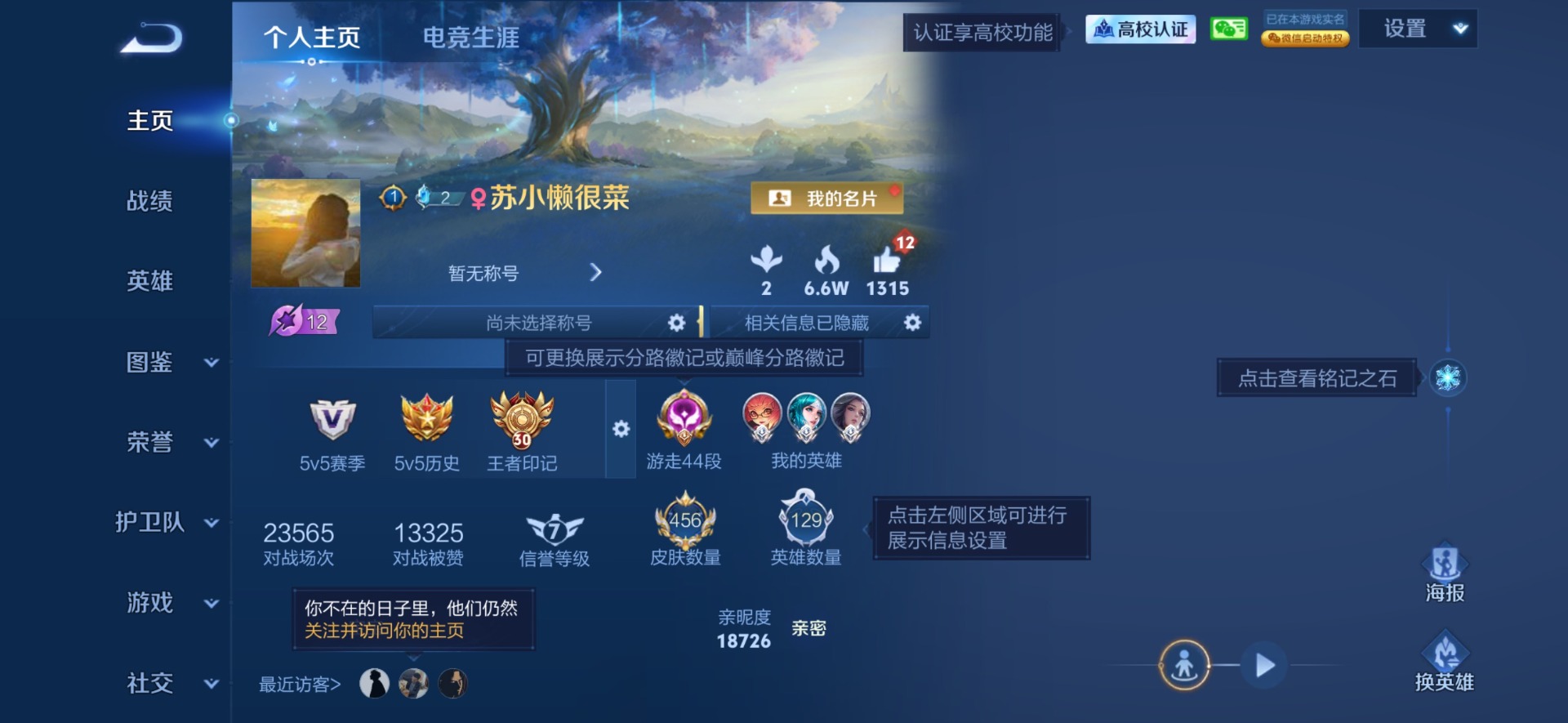 WZQM4769908王者荣耀账号详情图30 WZQM4769908王者荣耀账号详情图30