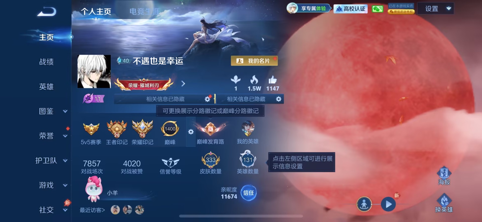 WZQM4753193王者荣耀账号详情图8 WZQM4753193王者荣耀账号详情图8