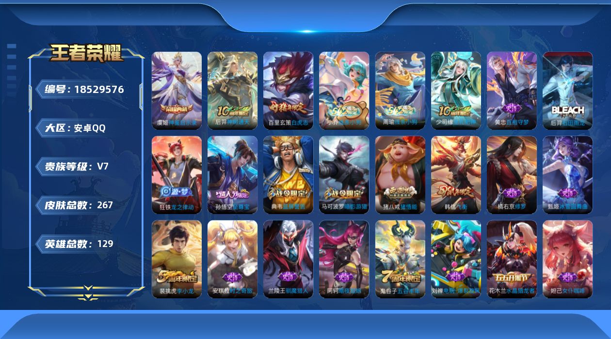 WZQM4308774王者荣耀账号详情图13