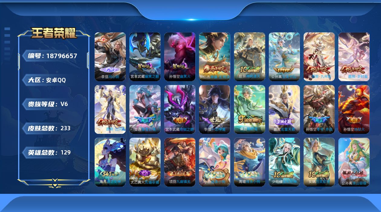 WZQM4312370王者荣耀账号详情图13