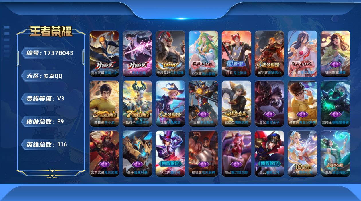 WZQM4205494王者荣耀账号详情图17