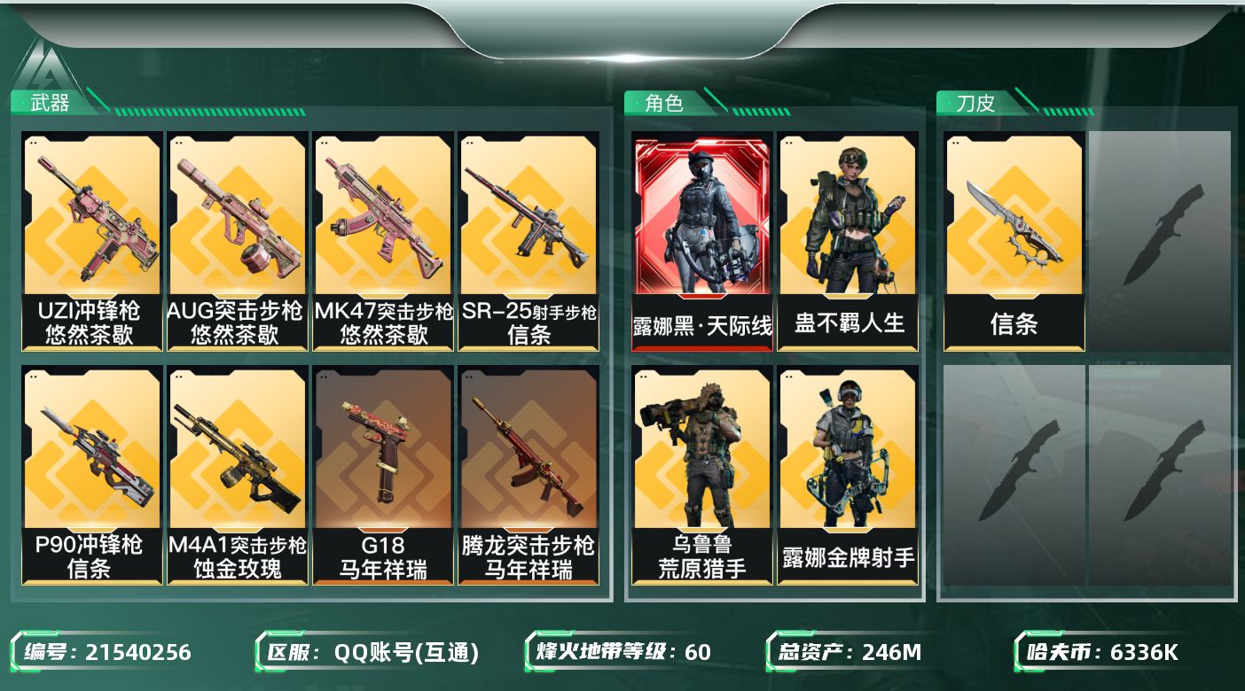 三角洲行动账号QQ【wf860】wf860 总资产243M 流动219.8M 流动219.8M 6金 黑天际线 信条 