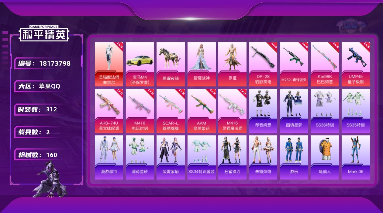 和平精英账号苹果QQ2载具-91套装-160枪皮--1红装2载具3粉装11特效枪3热门91套装160枪皮 50015热力