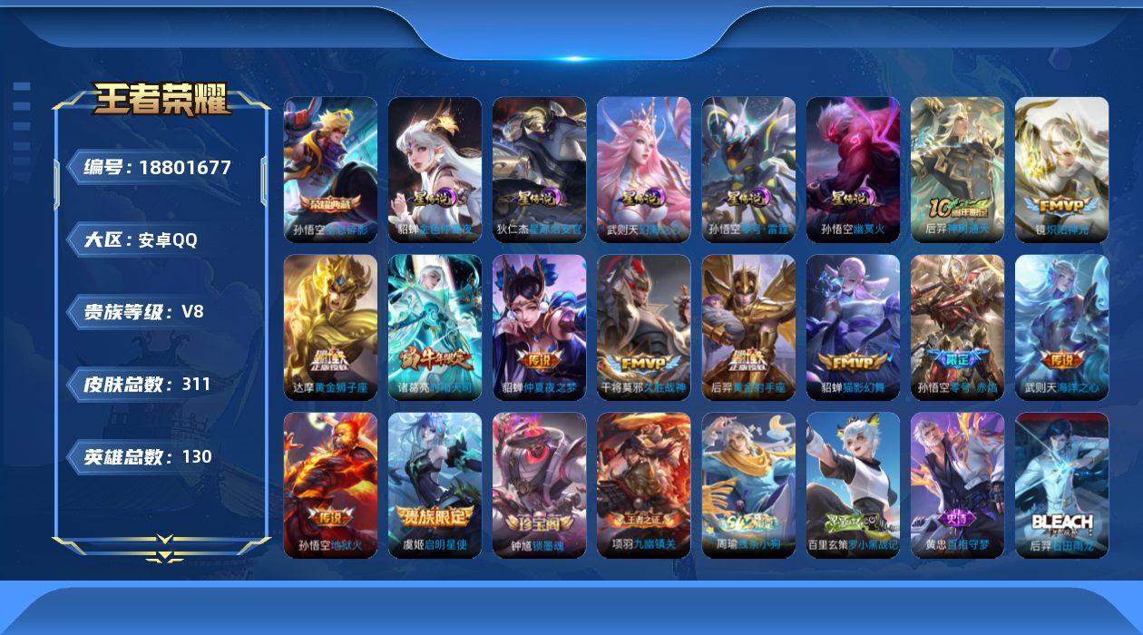 WZQM4313314王者荣耀账号详情图18