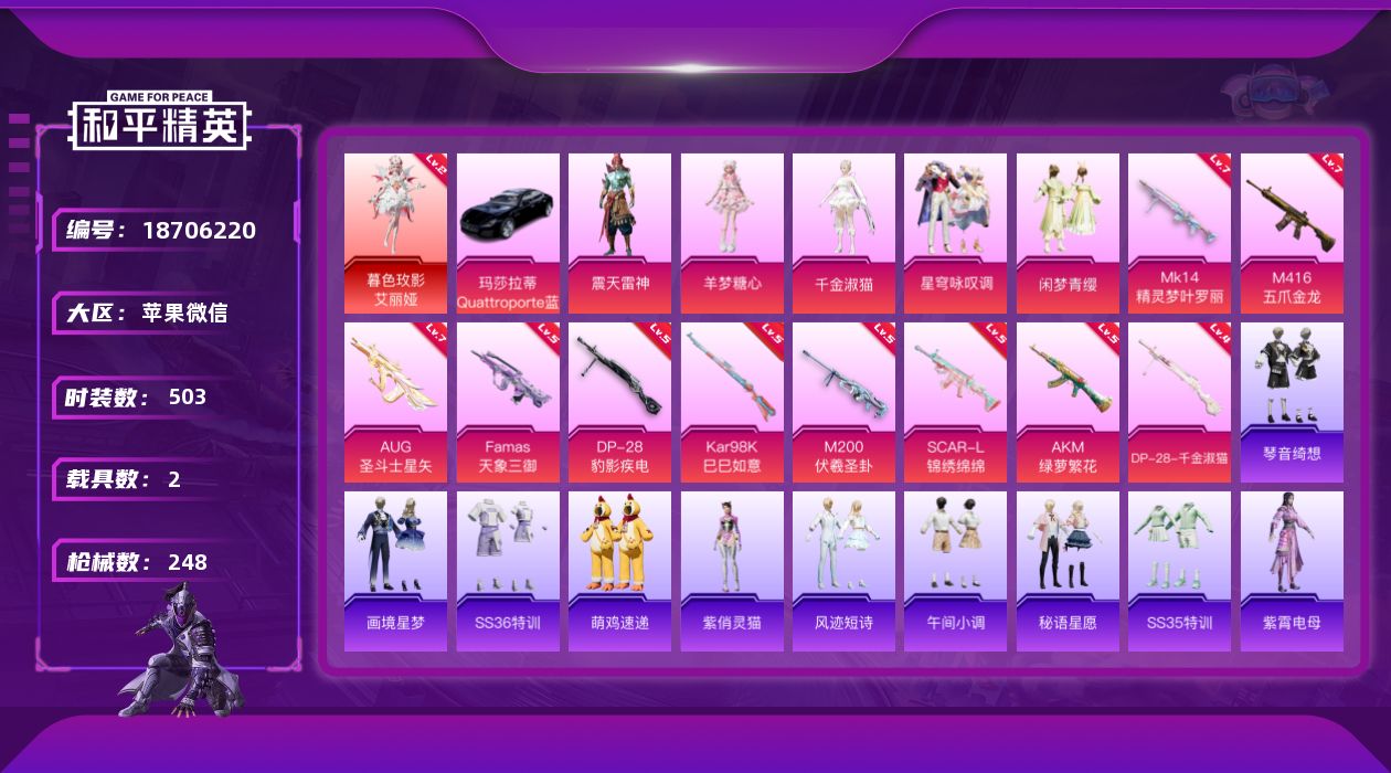 和平精英账号苹果微信2载具-145套装-248枪皮-1红装2载具5粉装11特效枪4热门145套装247枪皮 79362热
