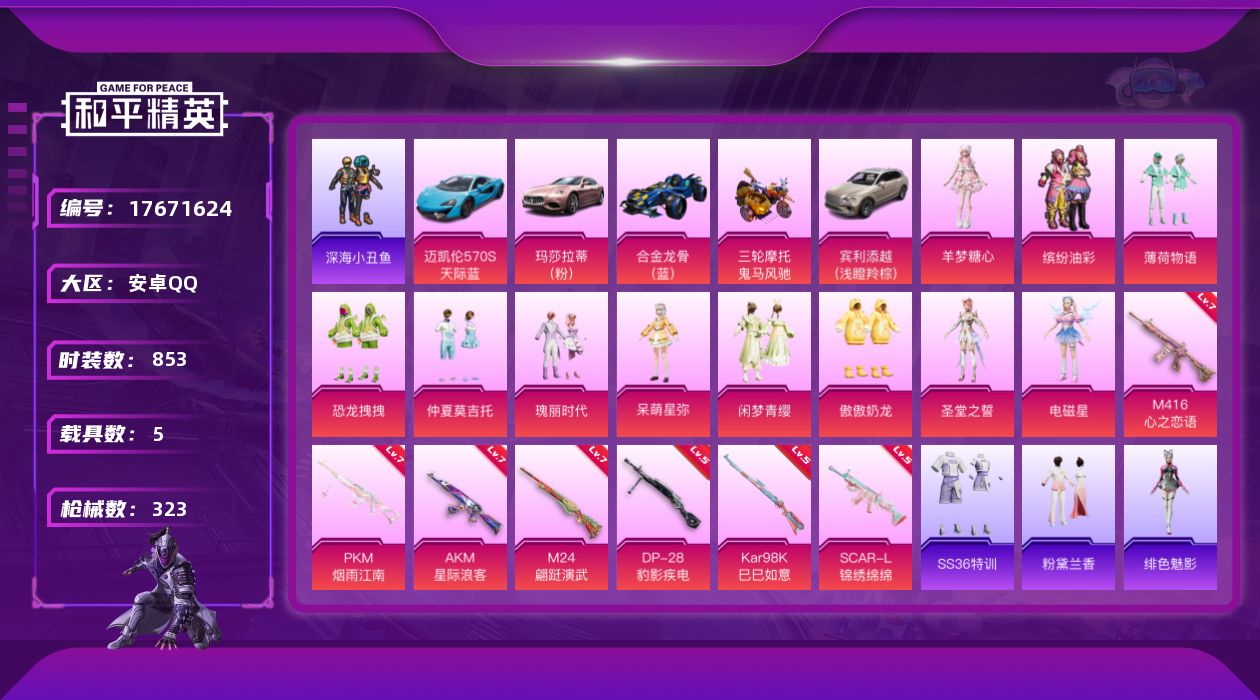 和平精英账号安卓QQ5载具-236套装-323枪皮-3稀有5载具11粉装7特效枪25热门236套装323枪皮 热力值 2
