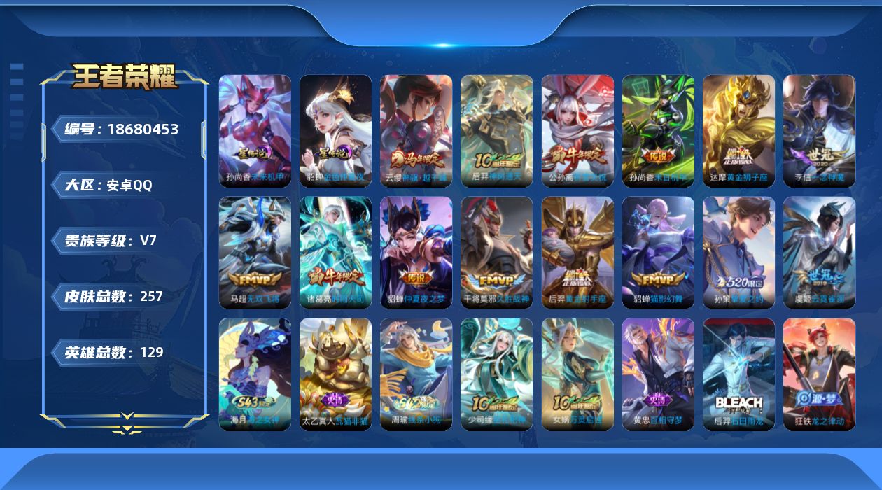 WZQM4305025王者荣耀账号详情图23