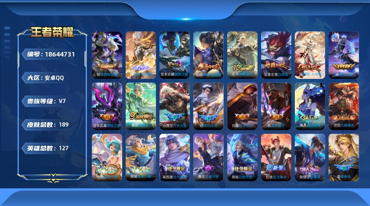 WZQM4300965王者荣耀账号详情图19