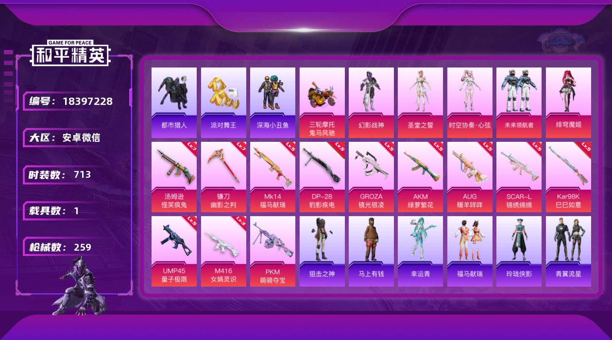 和平精英账号安卓微信[18397228]5粉装 12特效枪 1载具 11印记 可二次 可修改实名 
【热门装扮】未来领航