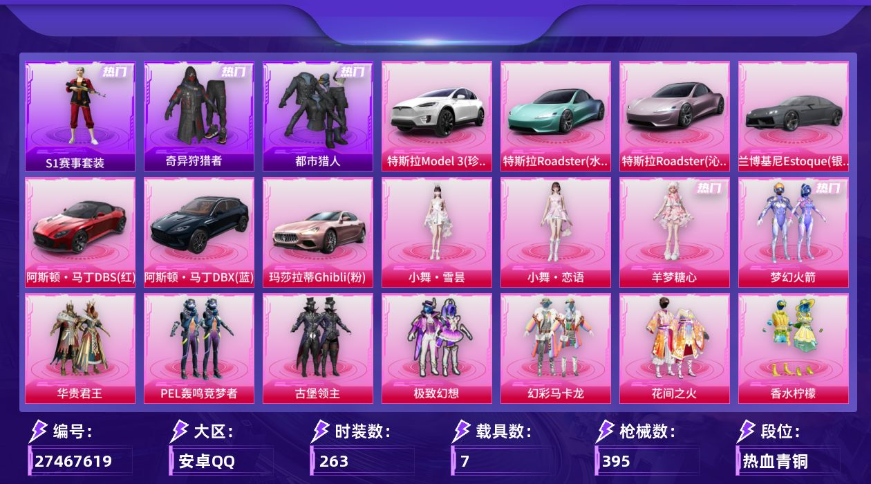 和平精英账号安卓QQ[27467619]【954】263套装/枪械13/装备506/载具7/战备241/王牌印记32/热力值139493/九霄背包(2级)/精灵迷巫背包(3级)/精灵迷巫背包(2级)/梦幻火箭背包(3级)