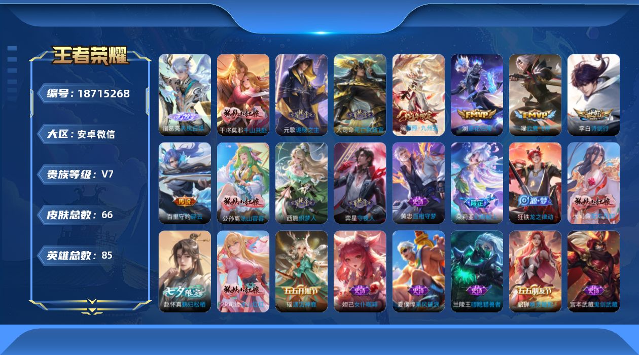 WZQM4307429王者荣耀账号详情图14