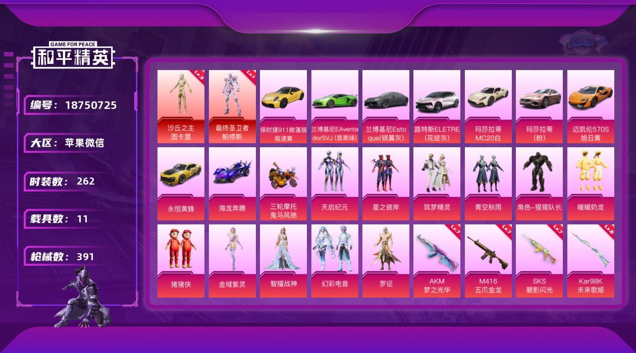 和平精英账号苹果微信[18750725]"XY1438  苹果V-2红装11载具13粉装12特效枪24热门262套装391枪皮 135858热力值 19印记 历史传奇王牌16星  最终圣卫者-帕修斯 (1级) 沙丘之主-