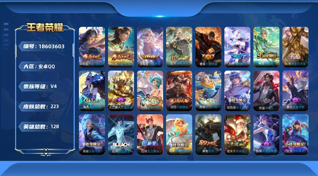 WZQM4297531王者荣耀账号详情图14
