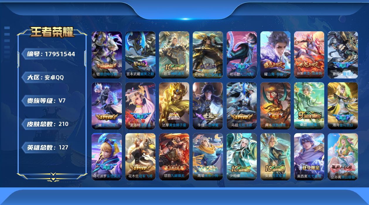 WZQM4256509王者荣耀账号详情图21