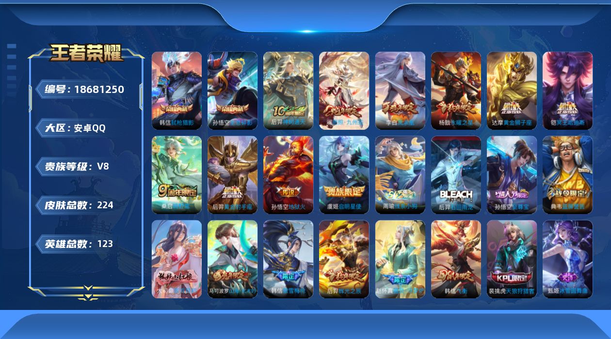 WZQM4310570王者荣耀账号详情图18