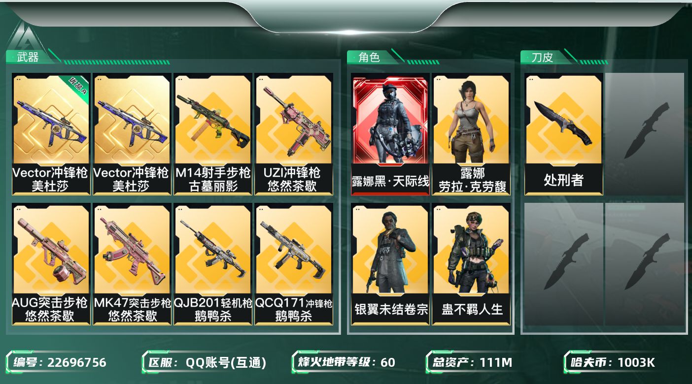 三角洲行动账号QQ【SJZEHC1754】EHC82969-8个六甲-14个六头-黑天际线-1红皮-1典藏枪皮-8金皮