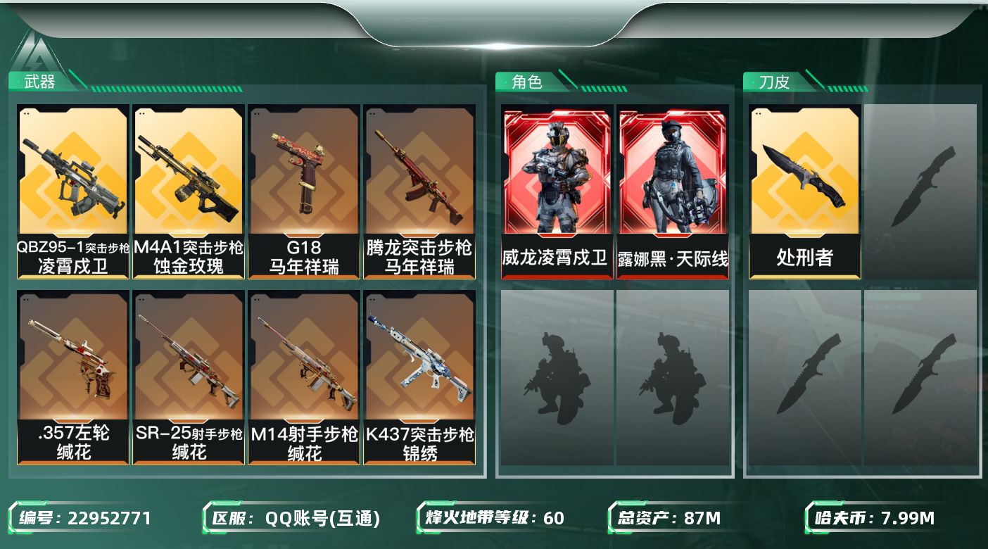 三角洲行动账号QQ【SJZEHC1822】EHC20259   黑·天际线/凌霄戍卫
87m总资产-7993k哈夫币-
