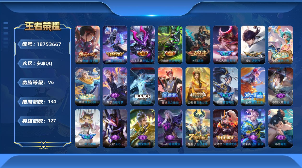 WZQM4309709王者荣耀账号详情图14