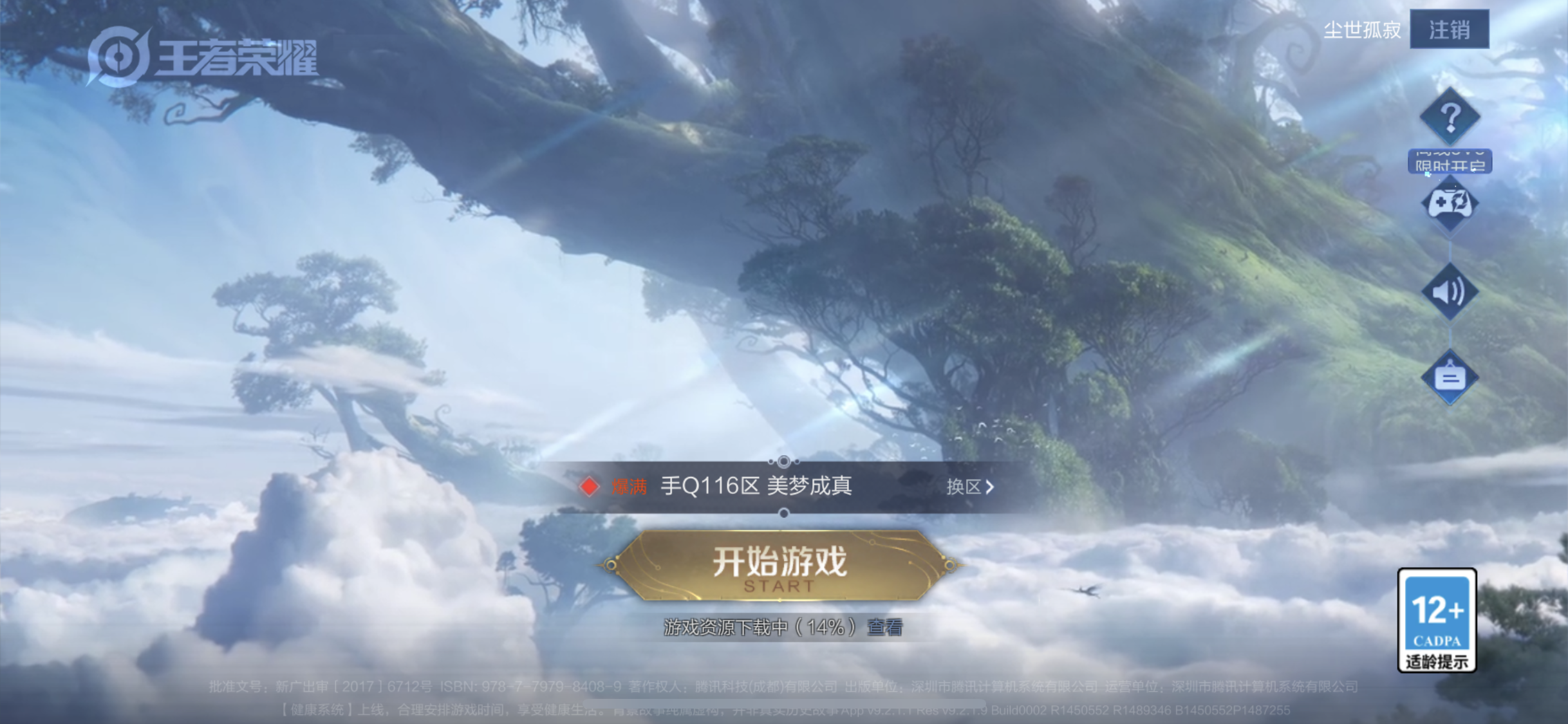 WZJM252865王者荣耀账号详情图19