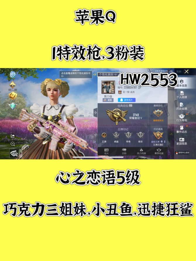 HW2553苹果q区可二次无违规 113套...