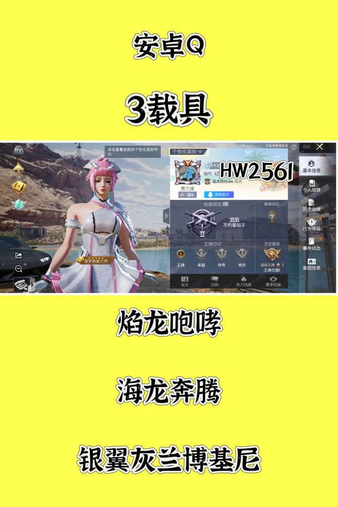 HW2561安卓q区可二次无违规 88套服...