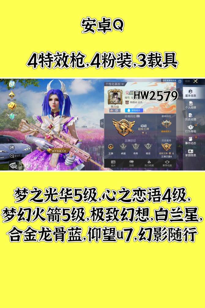 HW2579安卓q区可二次无违规 74套服...