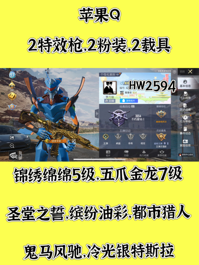 HW2594苹果q区可二次无违规 207套...