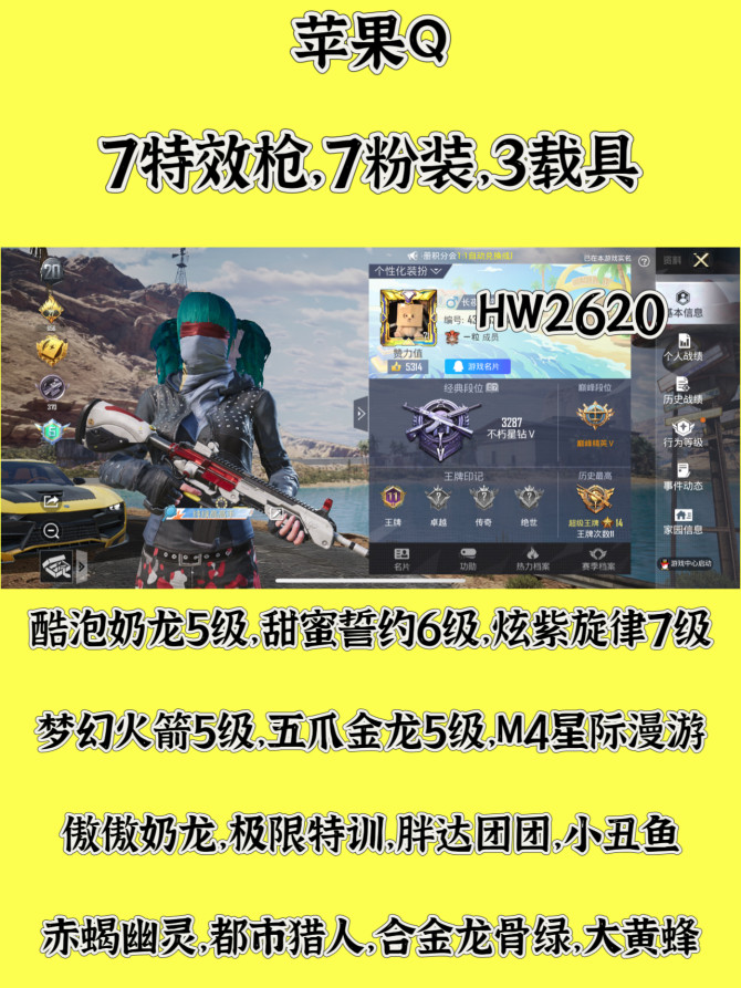 HW2620苹果q区可二次无违规 184套...