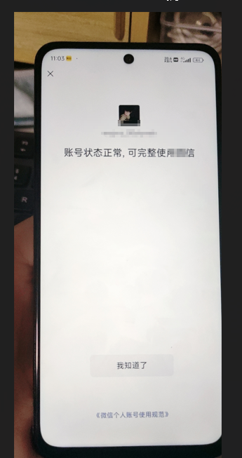 WZ032266310王者荣耀账号详情图34