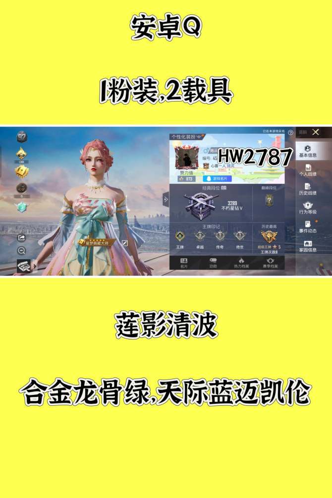 HW2787安卓q区可二次无违规 76套服...