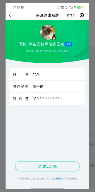 WZ032271485王者荣耀账号详情图21