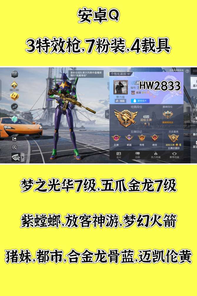 HW2833 安卓Q 有二次可修改 王牌印...