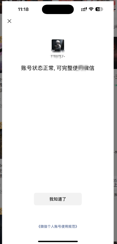 WZ032283683王者荣耀账号详情图20