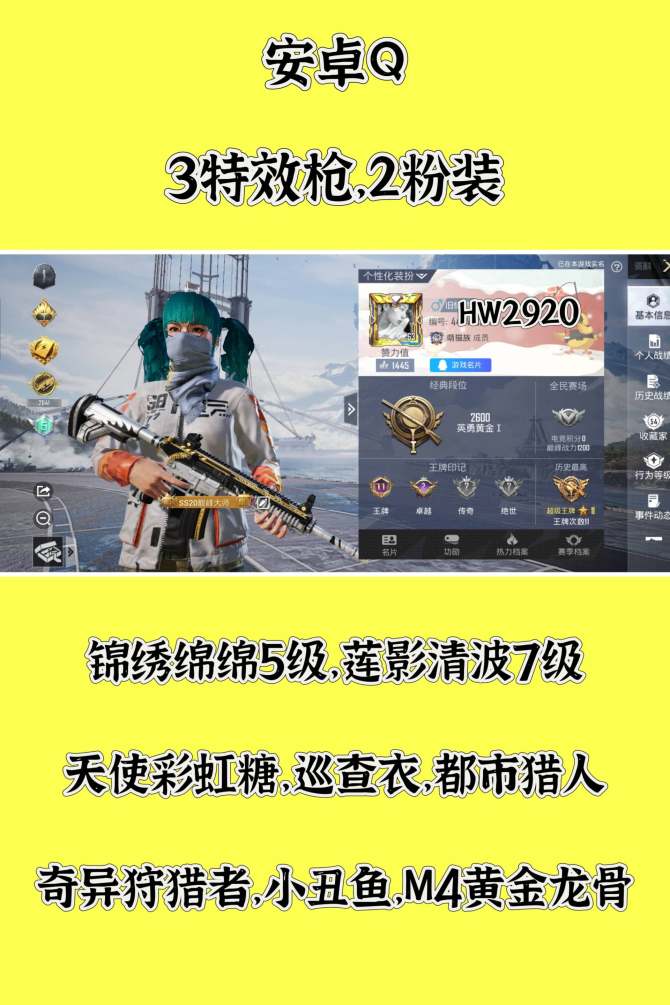 HW2920 安卓Q 有二次可修改 3特效...