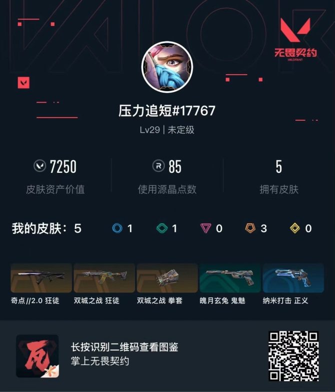 Lv29|未定级， 刀皮数量1，枪皮数量4...