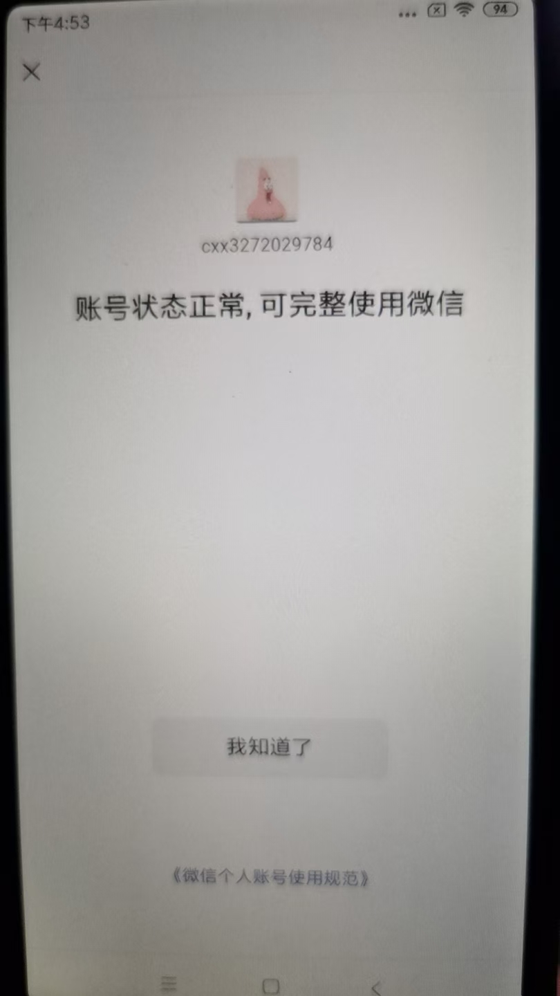 WZ0332909王者荣耀账号详情图22