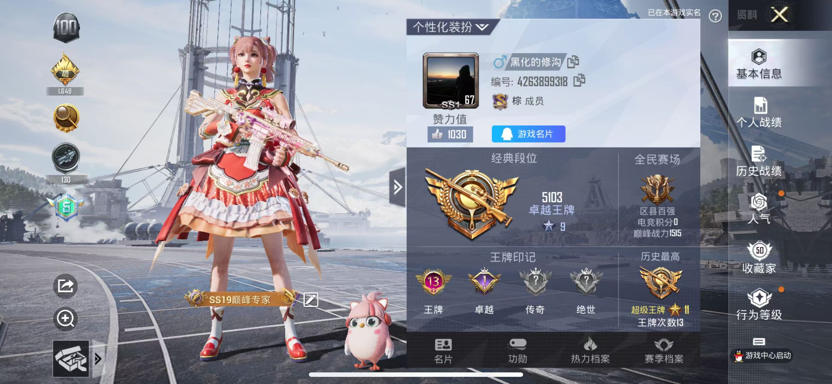 HPKG34917和平精英账号详情图4