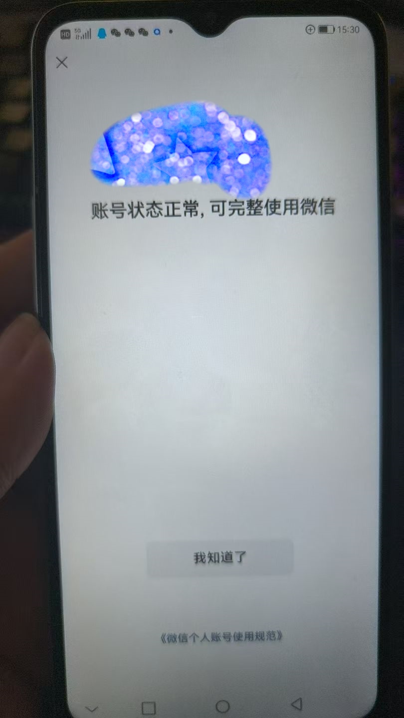 WZKG36591王者荣耀账号详情图9