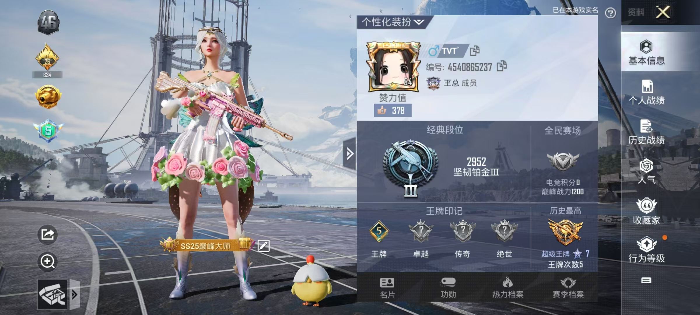 HPKG314668和平精英账号详情图4