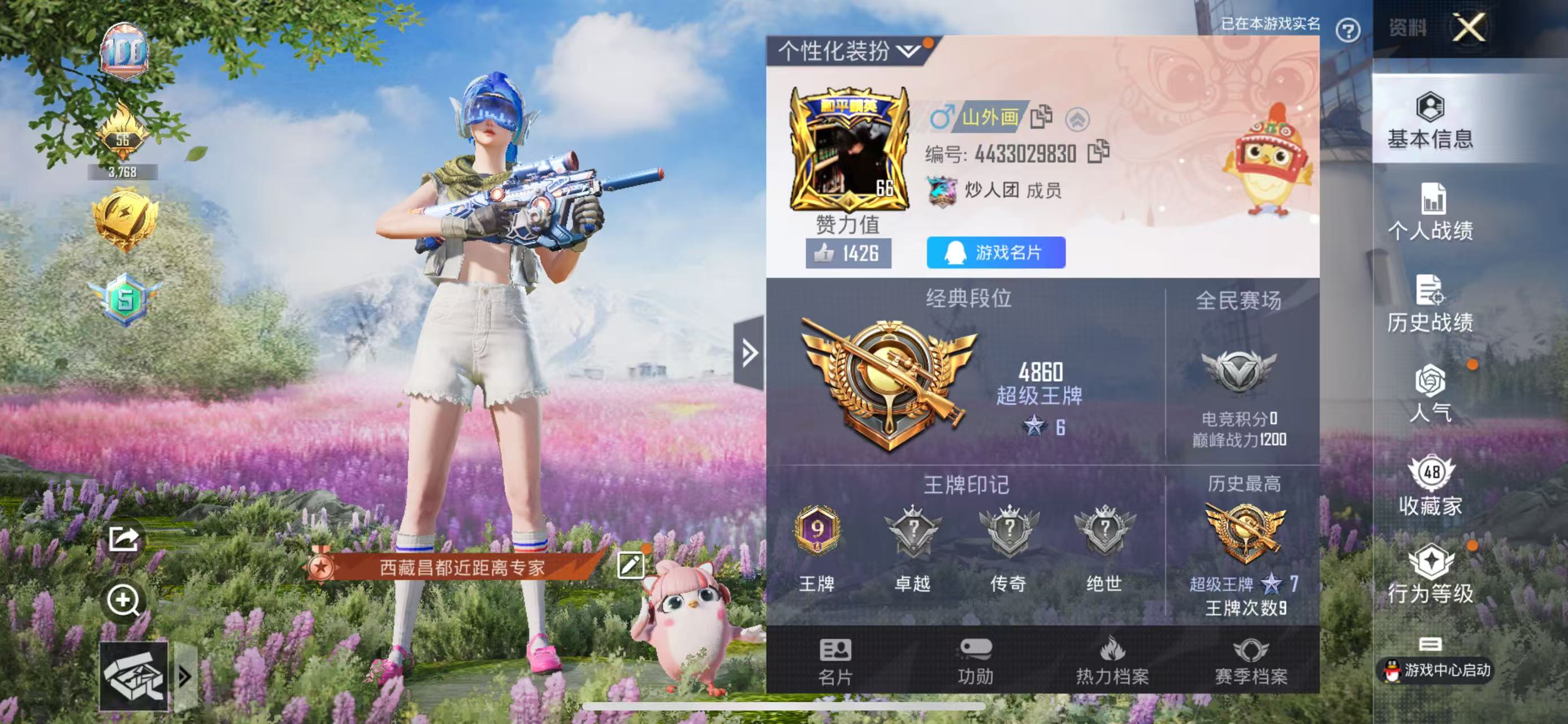 HPKG311357和平精英账号详情图4